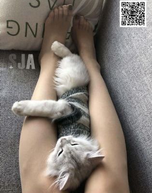 我的兄弟我的团_4K高清在线